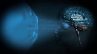 Watch Alex Jones Warn You About The New World Order Decades Ago in These Films