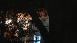 Watch Alex Jones Warn You About The New World Order Decades Ago in These Films