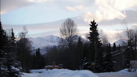 Watch Alex Jones Warn You About The New World Order Decades Ago in These Films