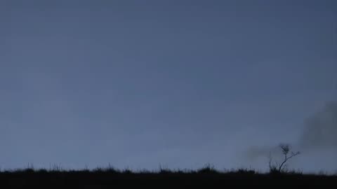 Watch Alex Jones Warn You About The New World Order Decades Ago in These Films