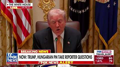 'Fake news!' Trump has epic meltdown after fact check on Walmart's Thanksgiving meal