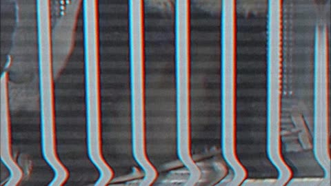 Japón se despide de sus pandas por tensiones diplomáticas con China