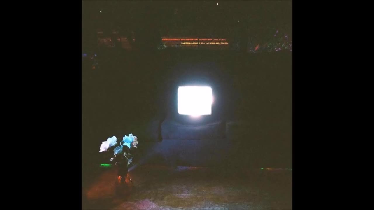 MERALDS - Does It Look Like I'm Here?