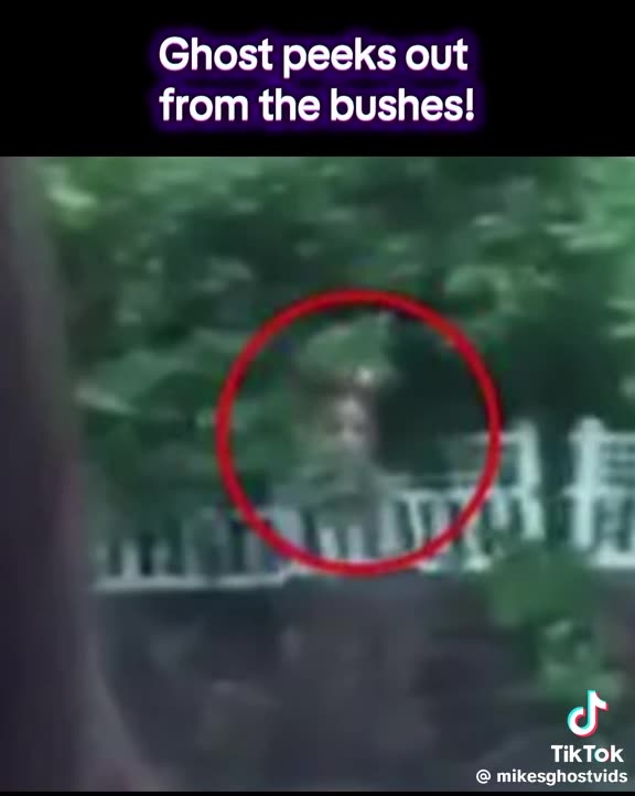 GHOSTS 😳APPEAR IN PHOTOS..IT’S NOT AI SINCE AI WASN’T AROUND WHEN THESE OLD PHOTOS WERE TAKEN !