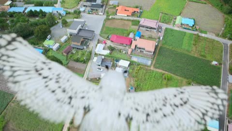 Genie Make a Wish S01E13 hindi dub