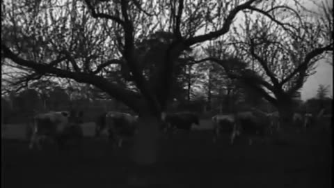 Farm Scenes Oil Well Farm Scenes - Farm Scenes Oil Well Farm Scenes - fc-fc-2165