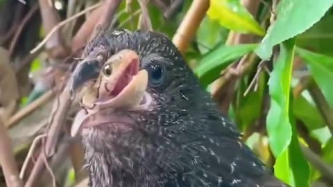 Dang Nature You Scary