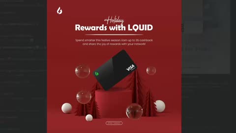 LIQUID PAY - NEXT 30 DAYS FOR FREE - VISA HYBRID CRYPTO & FIAT MONEY DEBIT CARD - TOP TEAM ROB BUSER