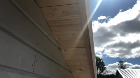 Part 13 cabin building 🎨