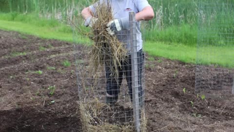 How to Grow Potatoes in Towers — Perfect for Small Gardens & Yards