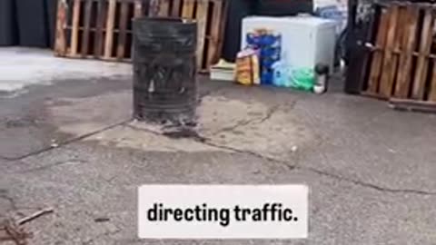 Still No Blood To Be Seen On 33rd Street. Renee Good Hoax