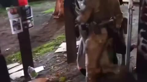 DHS agents had to be subjected to the exposed body of an obese Trantifa.