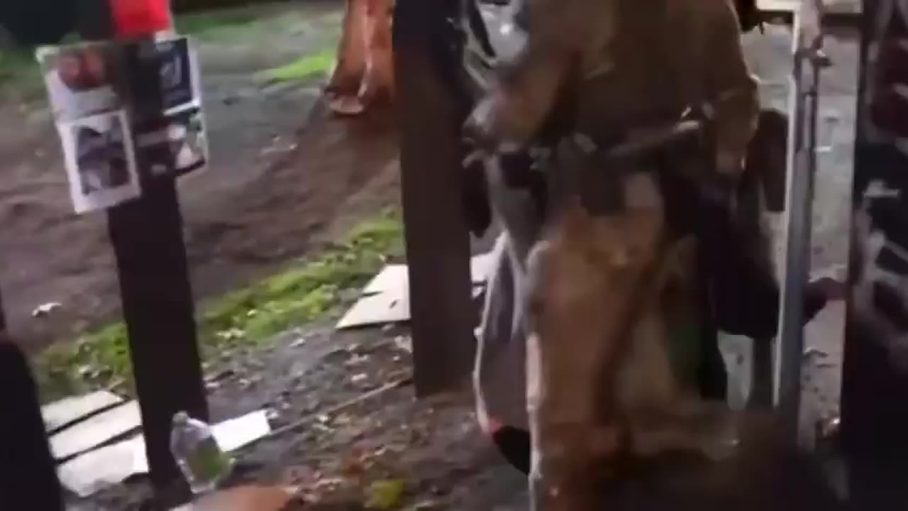 DHS agents had to be subjected to the exposed body of an obese Trantifa.