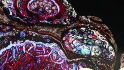 This Crystal Skull is Real And I Explain Exactly How It Happened ....She Was Honest and Brave