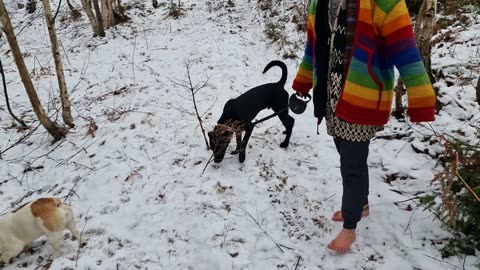 Am I barefoot in the snow again?