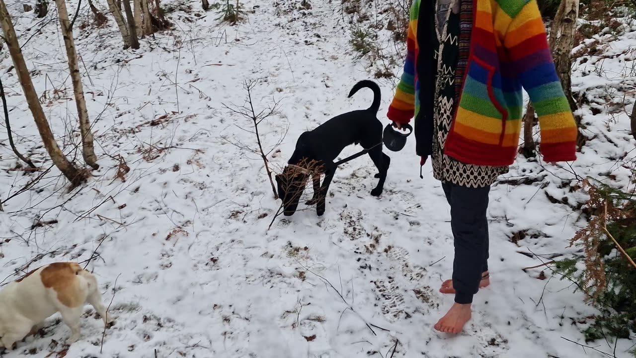 Am I barefoot in the snow again?