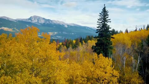 Relaxing Classical Beats for Work