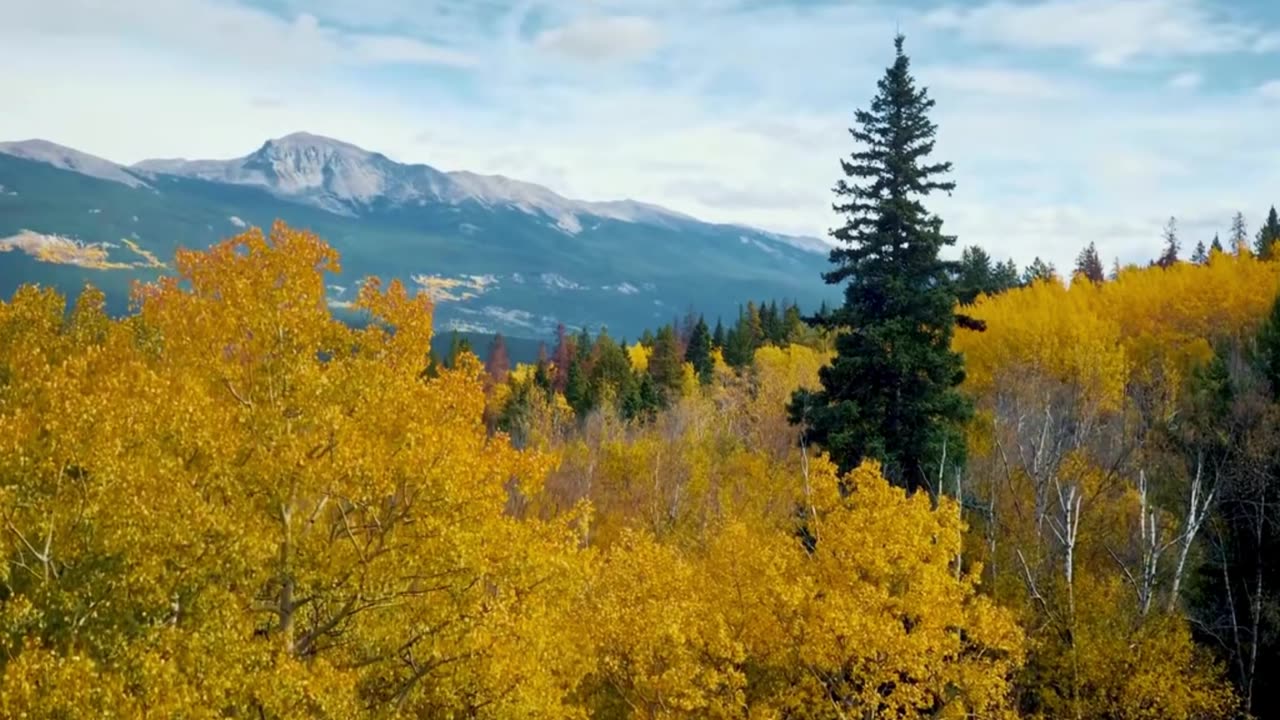 Relaxing Classical Beats for Work