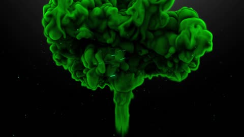 Logo Intro Elegance Flare