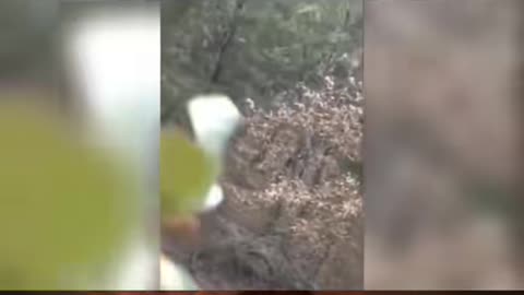 😱🏕️ White Cryptid Creature Caught on Camera at Campsite! | TheHauntingHour