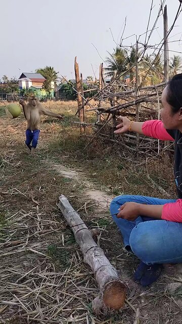 Perfect video SokYaa, OG, Pao & Mom Are Famous Around The World #shorts #anime #trend #edit