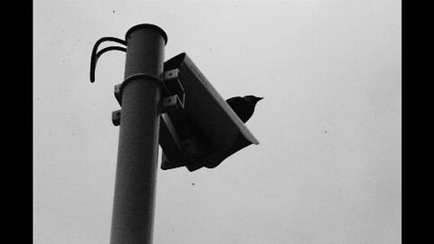 Predictive Programming - Why Is It Why They Do It?