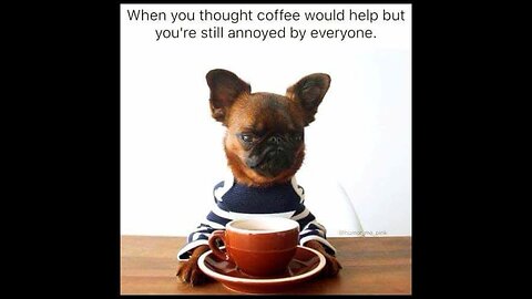 Caffeine with CJ-Black Friday 11-28-2025