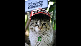 Lots of different games. and RedSixerFan music.