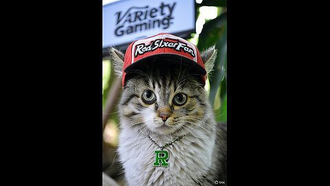 Lots of different games. and RedSixerFan music.