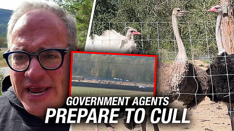 RAW: Ezra Levant reports on federal seizure of B.C. ostrich farm 