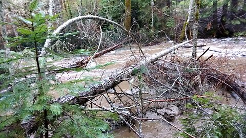 French Creek at Upper Cow Creek