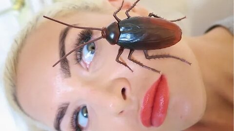 Roach on My Face: A Disturbing Encounter