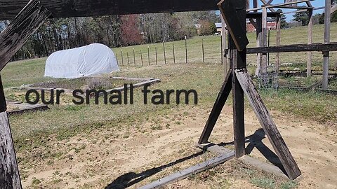 my tour of our small southern farm