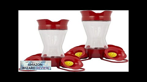 Perky-Pet 203CPBN-2 Pinch-Waist Glass Hummingbird Feeder with Perches Built-in Ant Moat Review