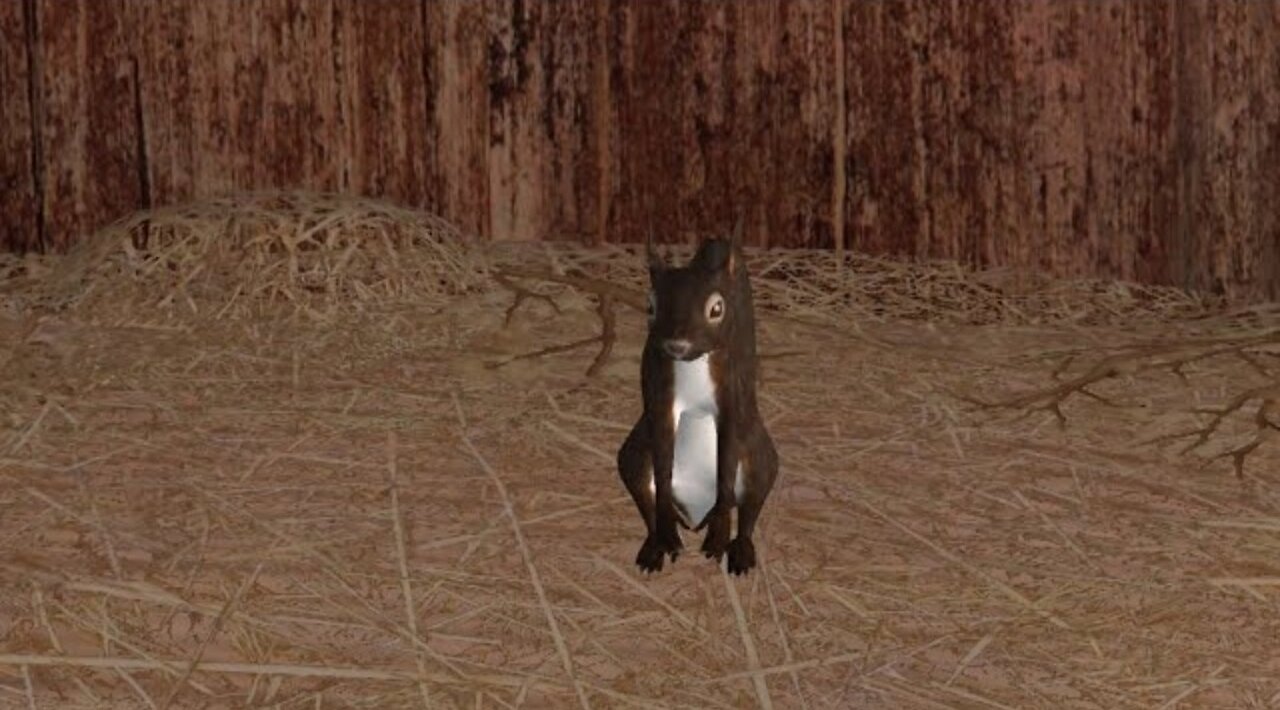 I'm a Squirrel! | Squirrel Simulator
