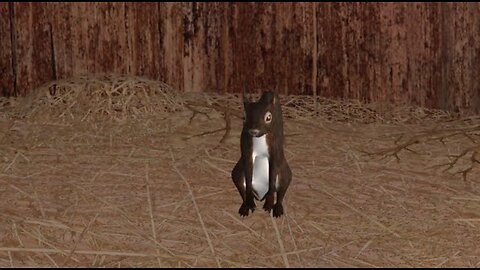 I'm a Squirrel! | Squirrel Simulator