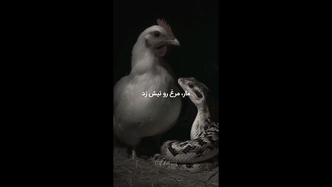 “Listen carefully — this might change your life.” یا “Most people quit right before success…”