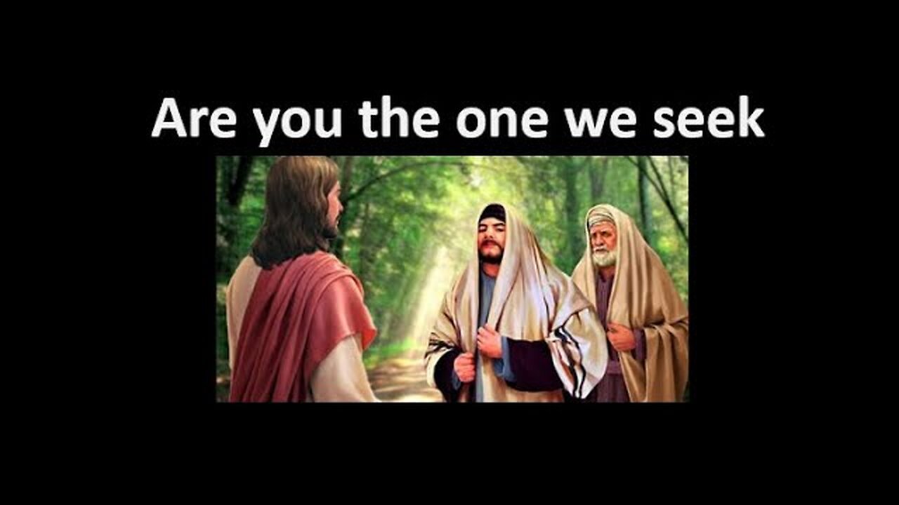 Matthew Bible Study Chapter 11 Explained