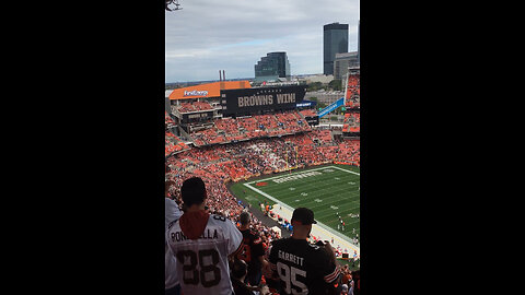 A Day in a human Dawg Pound