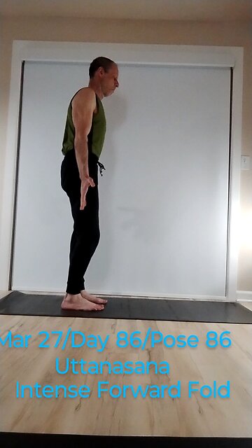 Uttanasana / Intense forward fold