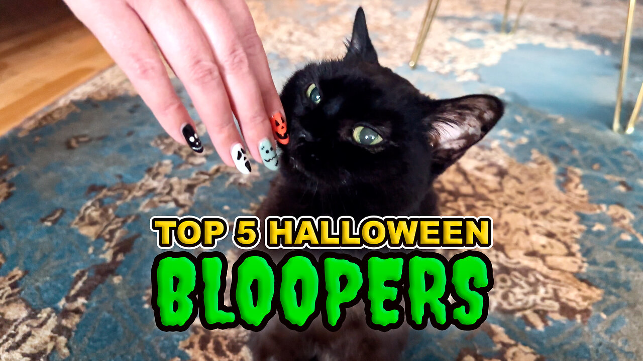 Directing Cats Is Extremely Difficult and Hilarious