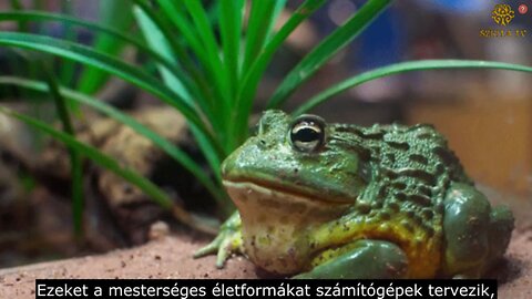 Mik a xenobotok? - Amikor az ember Istent játszik