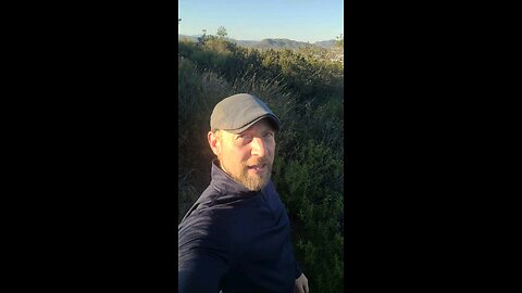 Final PURGE - Wood Snake 🐍