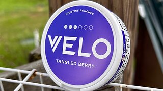 Velo Tangled Berry Nicotine Pouches Review