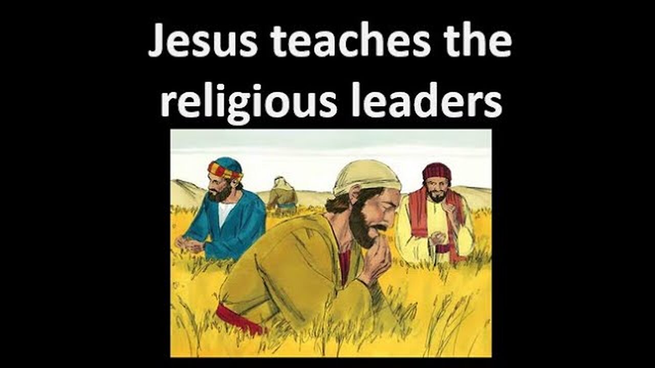 Matthew Bible Study Chapter 12 Explained