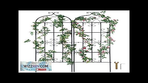 2 Packs Metal Garden Trellis for Climbing Plant Support 71x20 in Rustproof Review