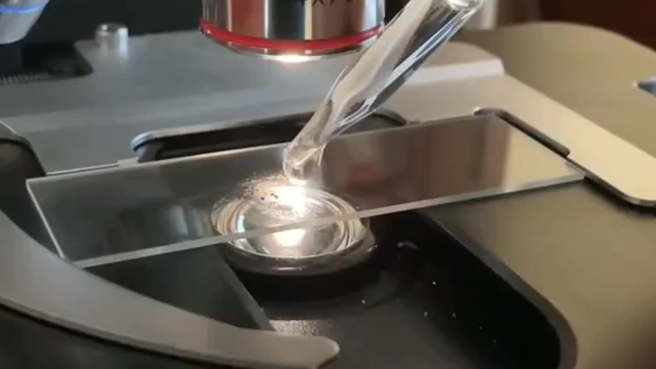 Why CHARCOAL is Used to Treat POISONing☠️ ⁉️