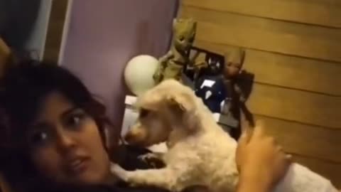 🐶😨 Is This Dog Seeing a Ghost? | TheHauntingHour