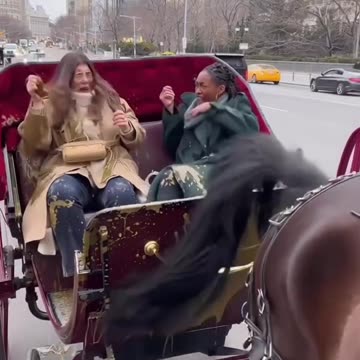 Horse carriages are getting out of contro or is it AI?