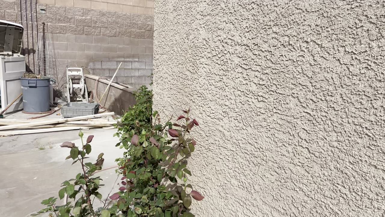 KPop Kids Farming in the Garden